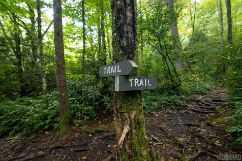 49 E Fish Camp Trail Glenville NC 28736