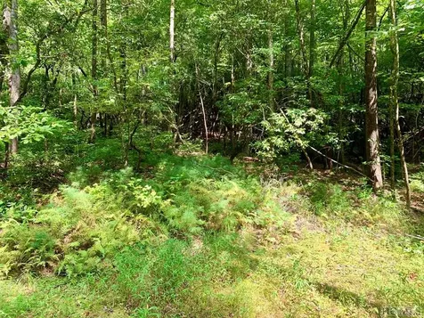 Tbd Double Creek Drive Brevard NC 28712