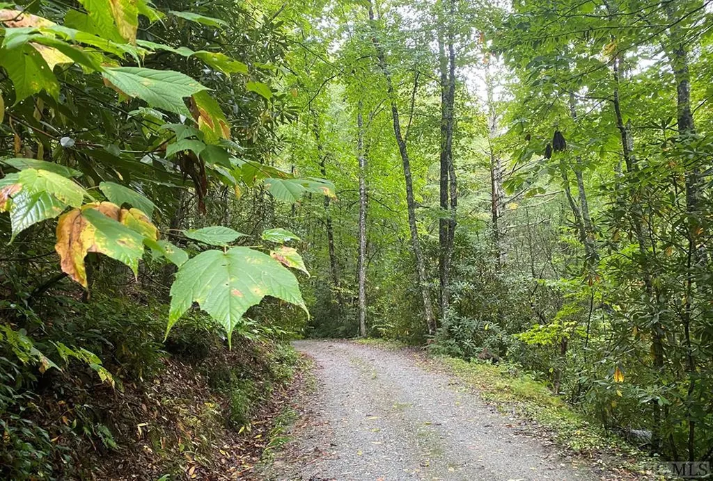 Lot F114 Tremble Ridge Road Glenville NC 28736