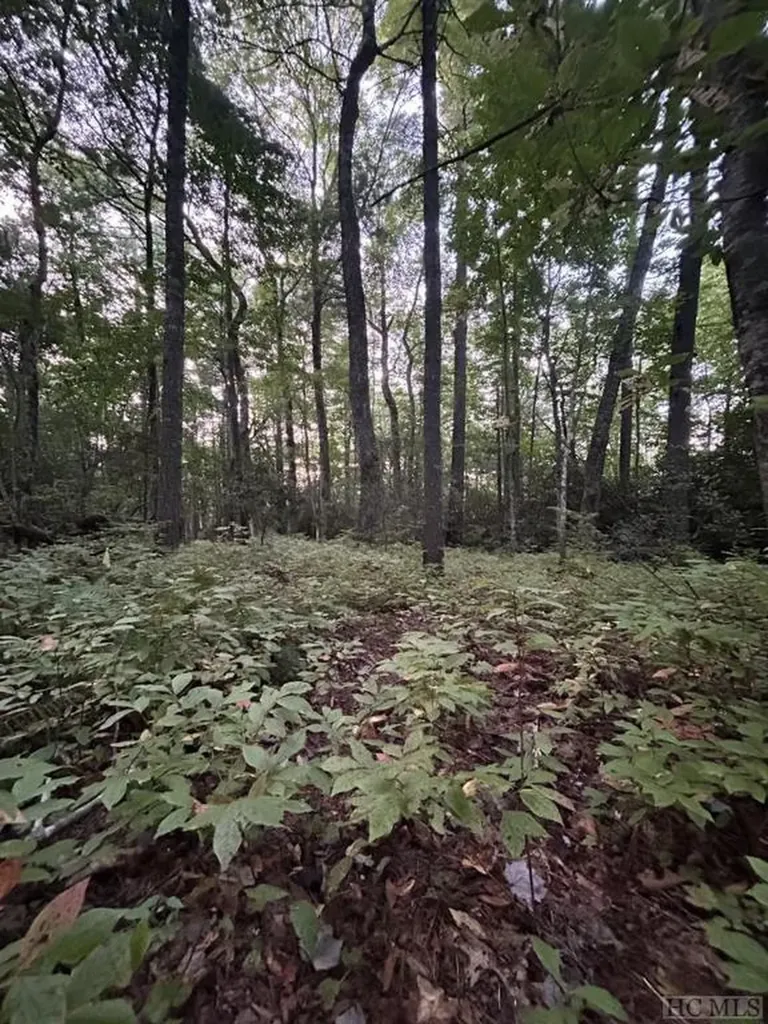 Lot 30 Lupton Road Sapphire NC 28774