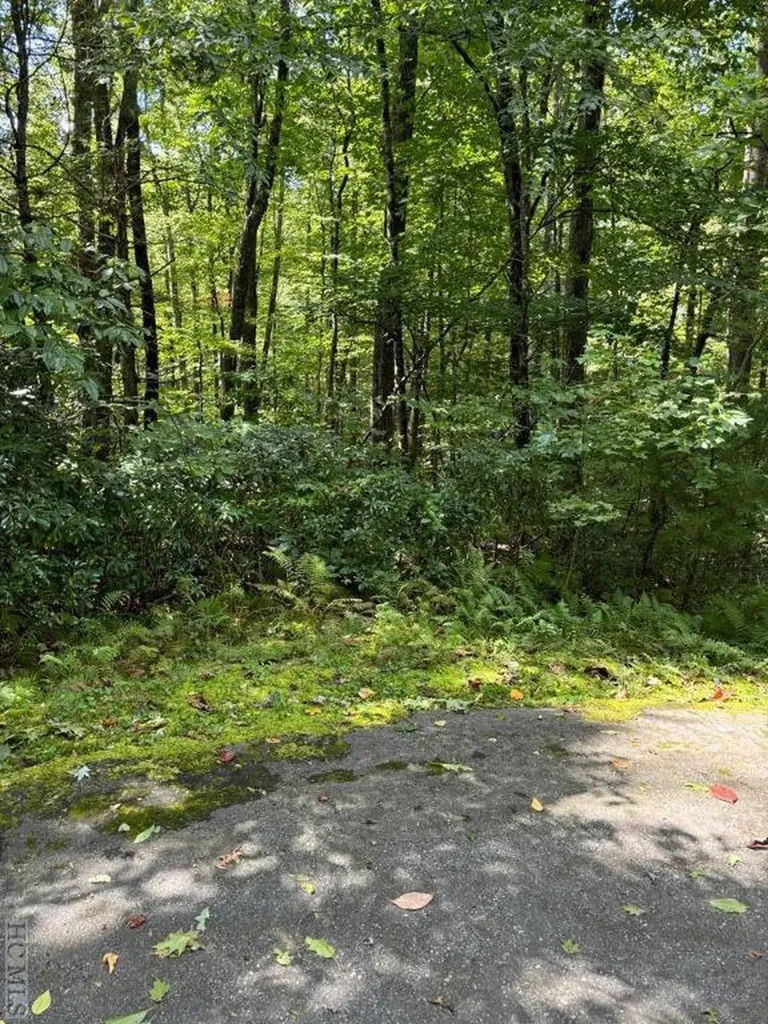 Lot 18 Sourwood Court Sapphire NC 28717