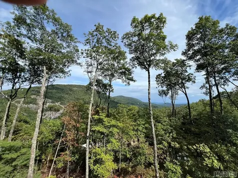 Lot 13 Deer Crest Drive Sapphire NC 28774
