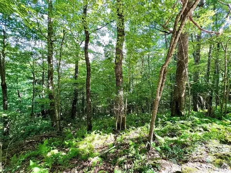 Lot 13 Deer Crest Drive Sapphire NC 28774