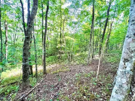 Lot 13 Deer Crest Drive Sapphire NC 28774