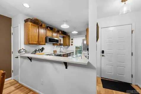 43 Kiwi Lane Sapphire NC 28774