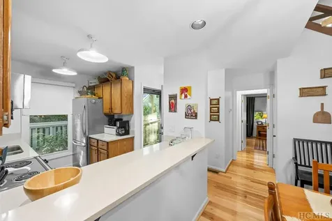 43 Kiwi Lane Sapphire NC 28774