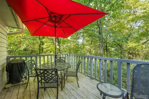 43 Kiwi Lane Sapphire NC 28774