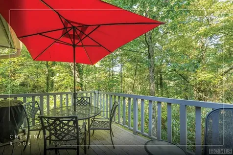 43 Kiwi Lane Sapphire NC 28774