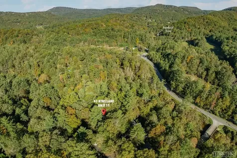 43 Kiwi Lane Sapphire NC 28774