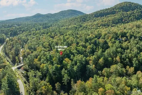 43 Kiwi Lane Sapphire NC 28774