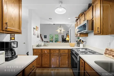 43 Kiwi Lane Sapphire NC 28774