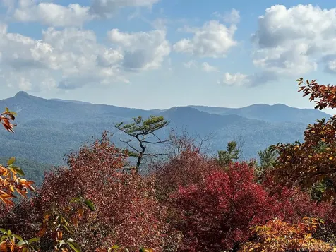 290 Black Rock Circle Highlands NC 28741