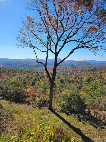 125 Rambouillet Road Cashiers NC 28717