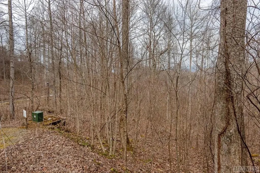 Lot 62 Pilot Knob Road Glenville NC 28736