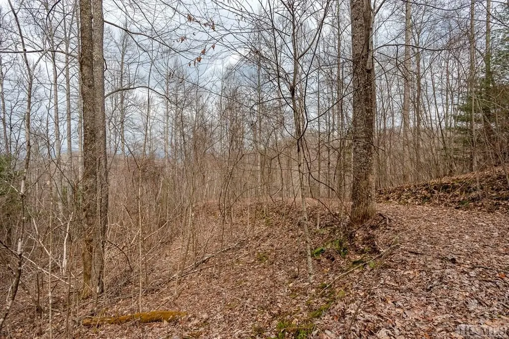 Lot 62 Pilot Knob Road Glenville NC 28736