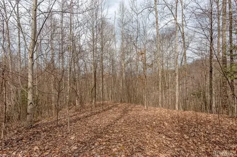 Lot 62 Pilot Knob Road Glenville NC 28736