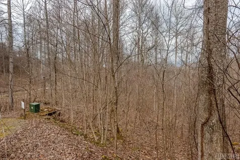 Lot 62 Pilot Knob Road Glenville NC 28736