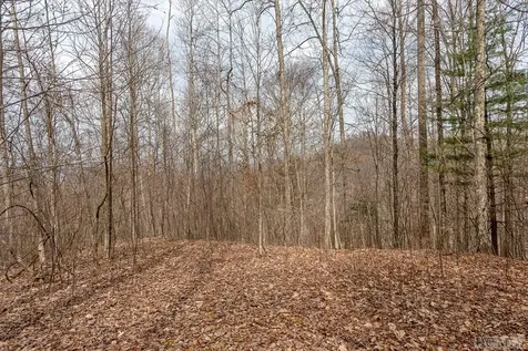 Lot 62 Pilot Knob Road Glenville NC 28736