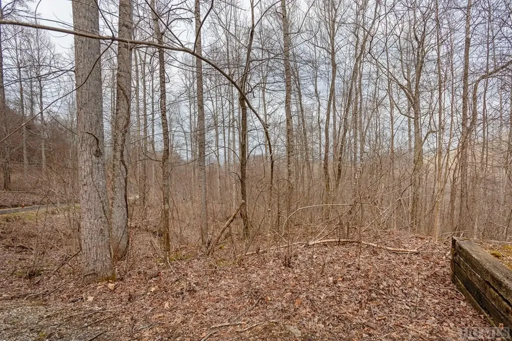Lot 60 Pilot Knob Road Glenville NC 28736