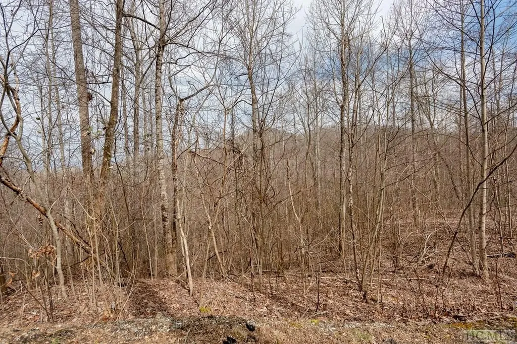 Lot 60 Pilot Knob Road Glenville NC 28736