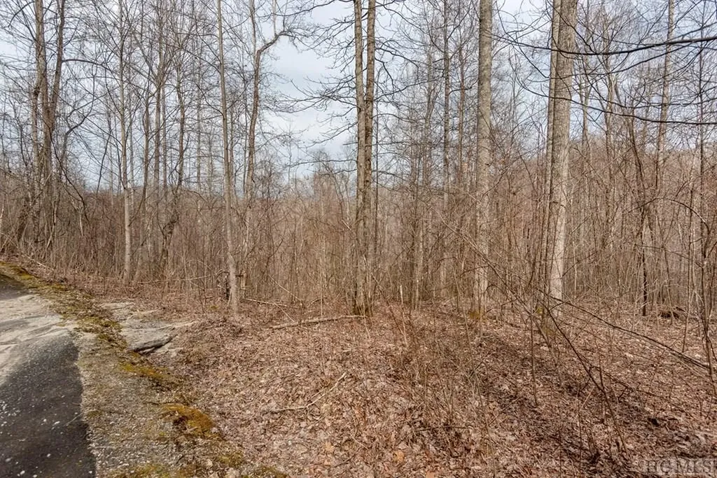 Lot 60 Pilot Knob Road Glenville NC 28736