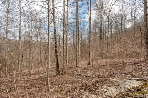 Lot 60 Pilot Knob Road Glenville NC 28736