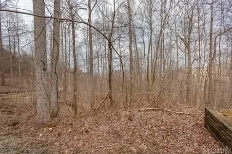 Lot 60 Pilot Knob Road Glenville NC 28736