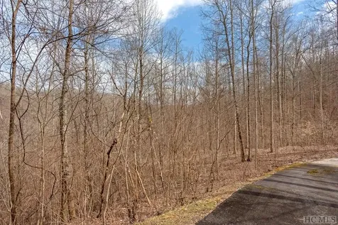 Lot 60 Pilot Knob Road Glenville NC 28736