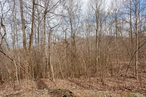 Lot 60 Pilot Knob Road Glenville NC 28736