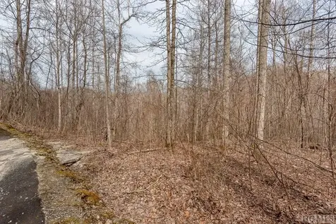 Lot 60 Pilot Knob Road Glenville NC 28736