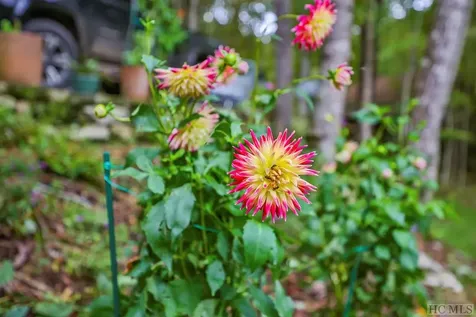 1926 Black Oak Drive Sapphire NC 28774