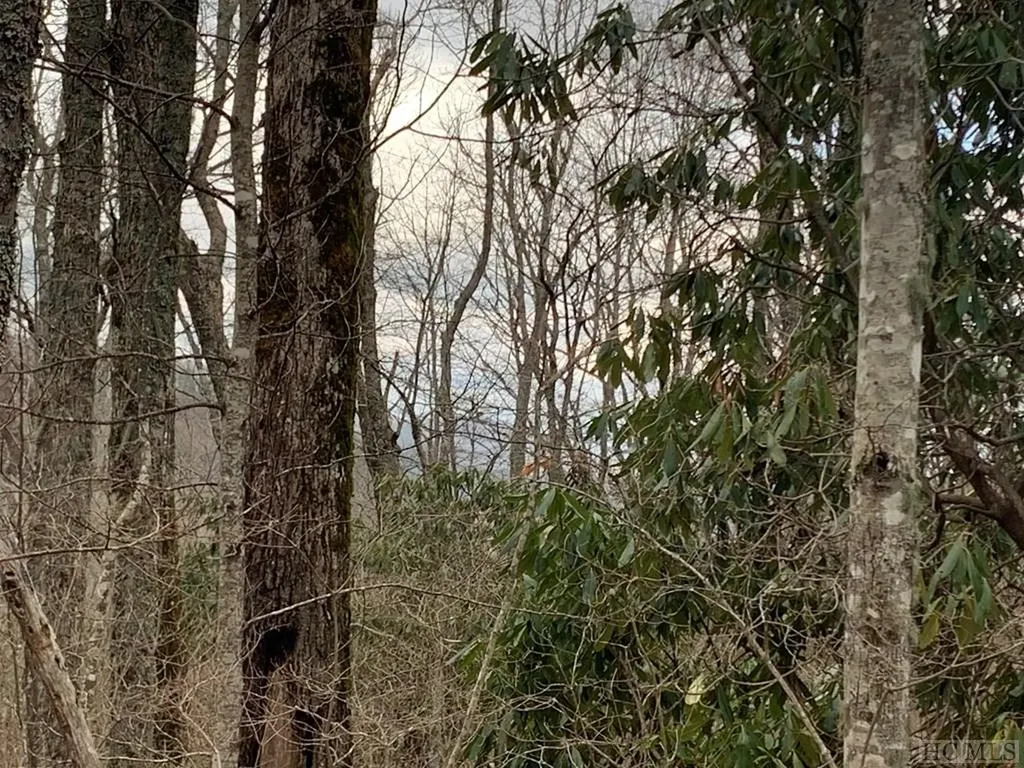 151 Hilldale Lane Highlands NC 28741