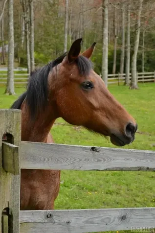 80 White Ash Lane Sapphire NC 28774