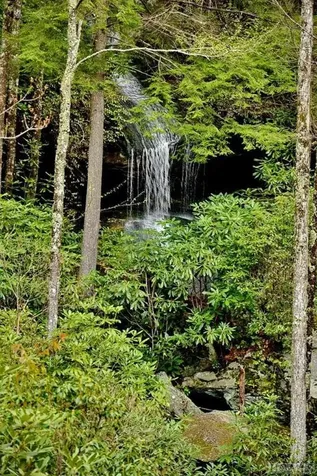 80 White Ash Lane Sapphire NC 28774