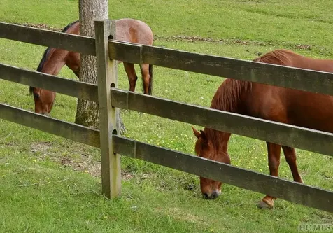 80 White Ash Lane Sapphire NC 28774