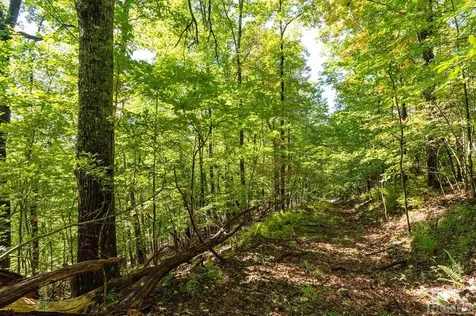 80 White Ash Lane Sapphire NC 28774