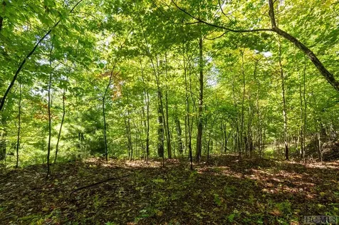 80 White Ash Lane Sapphire NC 28774