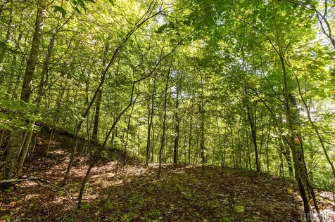 80 White Ash Lane Sapphire NC 28774