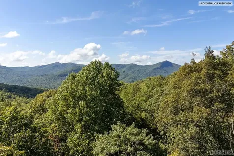80 White Ash Lane Sapphire NC 28774
