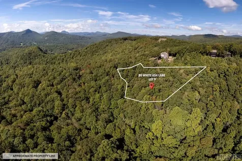 80 White Ash Lane Sapphire NC 28774