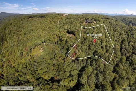 80 White Ash Lane Sapphire NC 28774