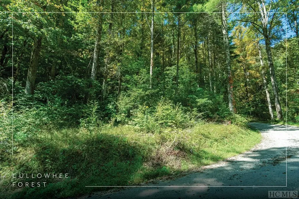 16 & 17 Cullowhee Forest Road Cullowhee NC 28723