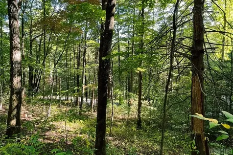 16 & 17 Cullowhee Forest Road Cullowhee NC 28723