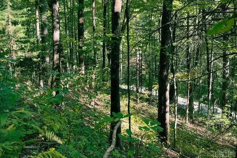 16 & 17 Cullowhee Forest Road Cullowhee NC 28723