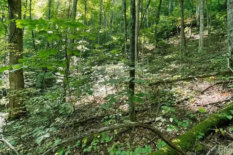 16 & 17 Cullowhee Forest Road Cullowhee NC 28723