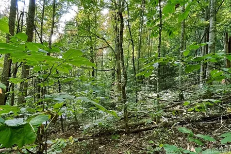 16 & 17 Cullowhee Forest Road Cullowhee NC 28723