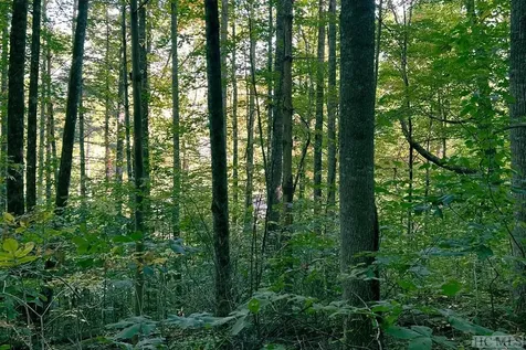 16 & 17 Cullowhee Forest Road Cullowhee NC 28723