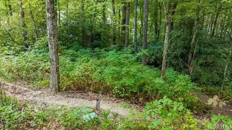 32 Footbridge Drive Cashiers NC 28717