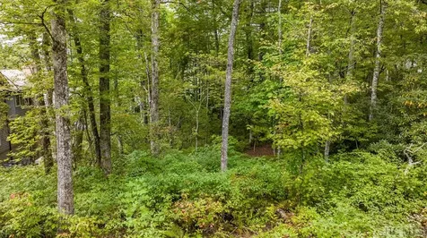 32 Footbridge Drive Cashiers NC 28717