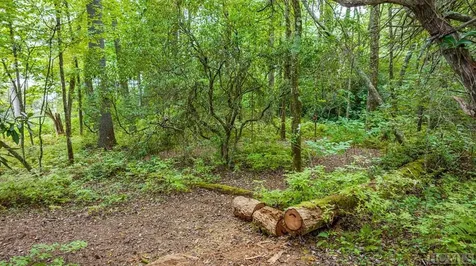 32 Footbridge Drive Cashiers NC 28717